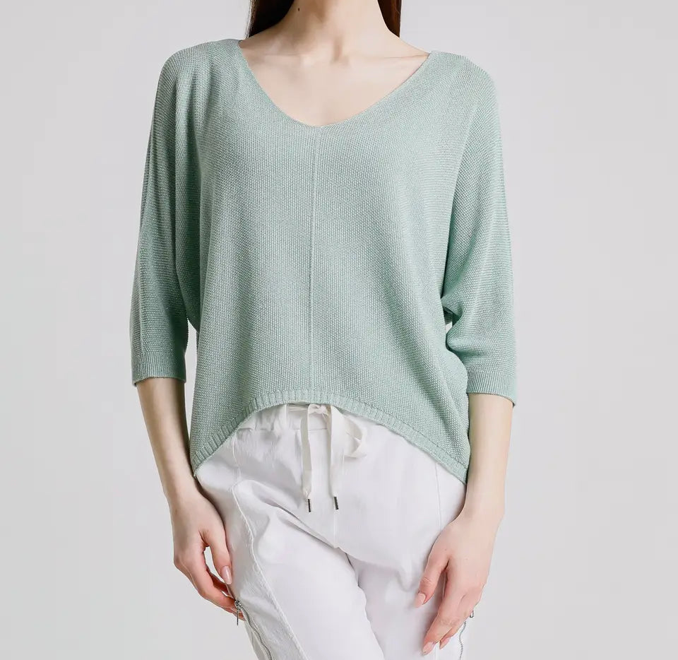 Mesh Blouse & Camisole